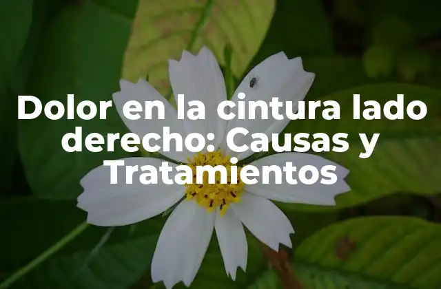 Dolor en la Cintura Lado Derecho: Causas y Tratamientos
