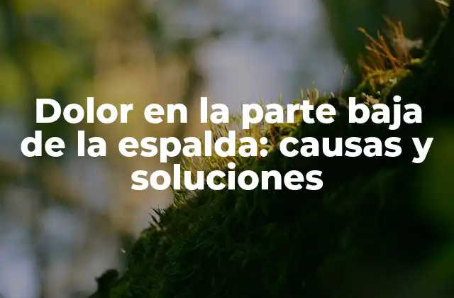 Dolor en la Parte Baja de la Espalda: Causas y Soluciones