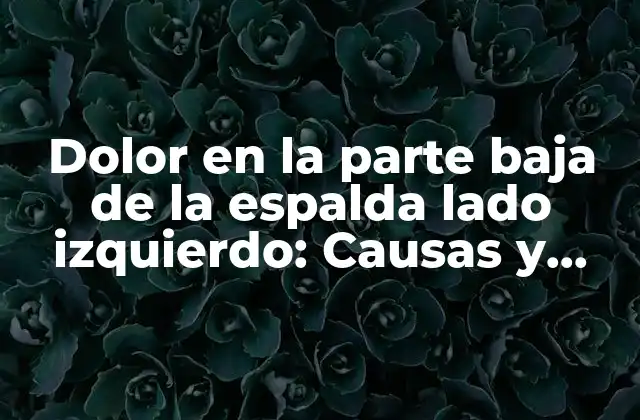 Dolor en la Parte Baja de la Espalda Lado Izquierdo: Causas y Tratamientos