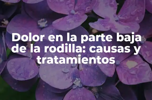 Causas del dolor en la parte baja de la rodilla