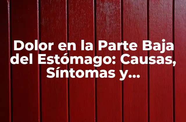 Dolor en la Parte Baja Del Estómago: Causas, Síntomas y Tratamientos