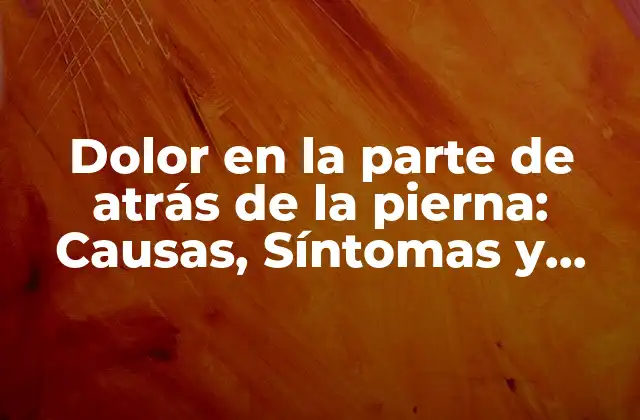 Dolor en la Parte de Atrás de la Pierna: Causas, Síntomas y Tratamientos
