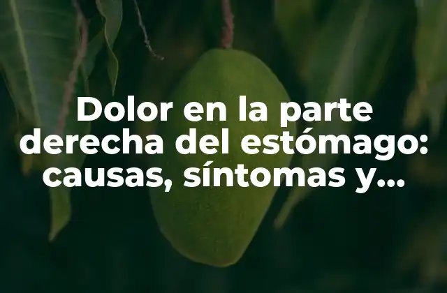 Dolor en la Parte Derecha Del Estómago: Causas, Síntomas y Tratamiento