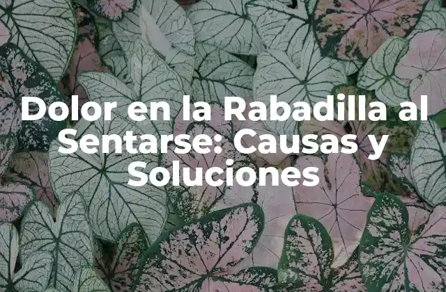Dolor en la Rabadilla Al Sentarse: Causas y Soluciones