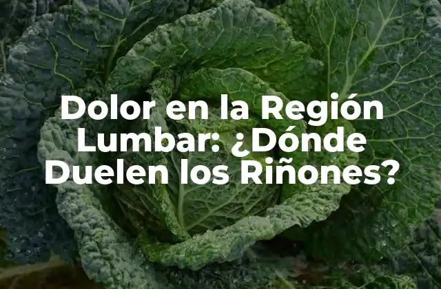Dolor en la Región Lumbar: ¿dónde Duelen los Riñones?