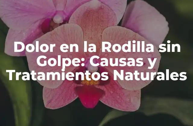 Dolor en la Rodilla sin Golpe: Causas y Tratamientos Naturales