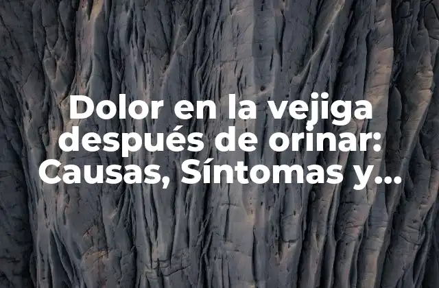 Dolor en la Vejiga Después de Orinar: Causas, Síntomas y Tratamiento