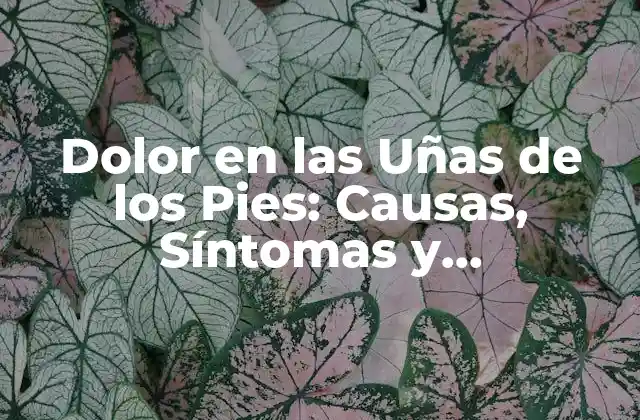 Dolor en las Uñas de los Pies: Causas, Síntomas y Tratamientos