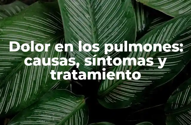 Dolor en los Pulmones: Causas, Síntomas y Tratamiento