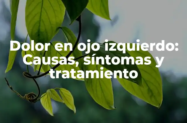 Dolor en Ojo Izquierdo: Causas, Síntomas y Tratamiento