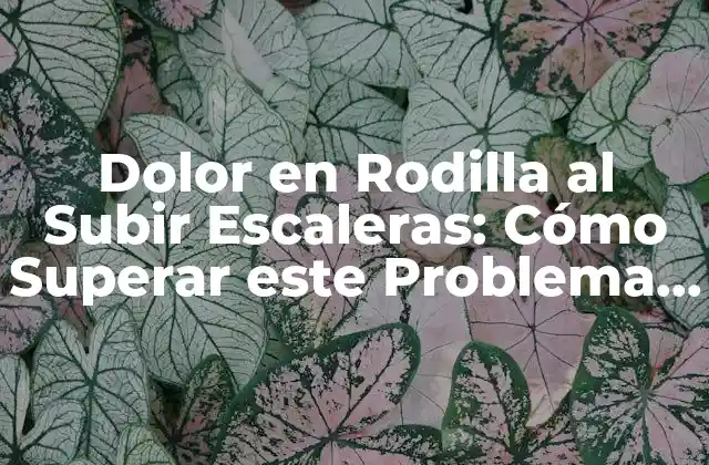Dolor en Rodilla Al Subir Escaleras: Cómo Superar Este Problema Común