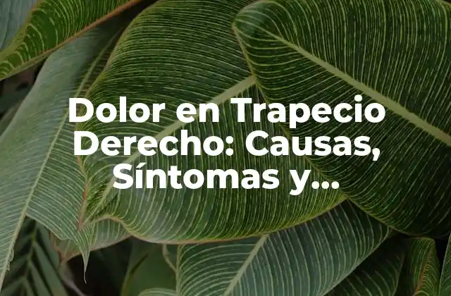 Dolor en Trapecio Derecho: Causas, Síntomas y Tratamientos