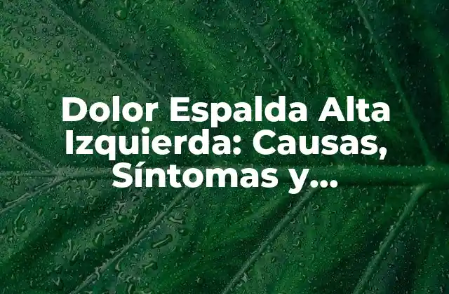 Dolor Espalda Alta Izquierda: Causas, Síntomas y Tratamientos 2 Causas del Dolor Espalda Alta Izquierda