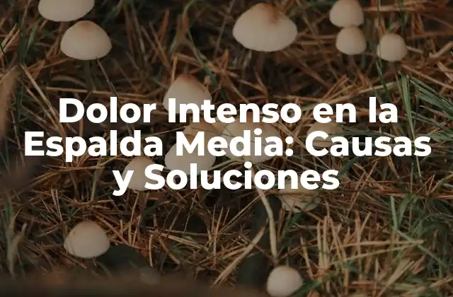 Dolor Intenso en la Espalda Media: Causas y Soluciones
