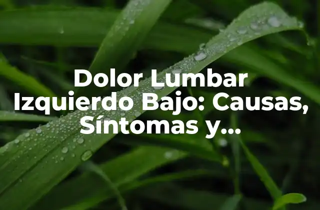 Dolor Lumbar Izquierdo Bajo: Causas, Síntomas y Tratamientos