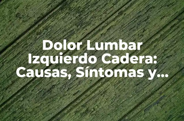 Causas del Dolor Lumbar Izquierdo Cadera