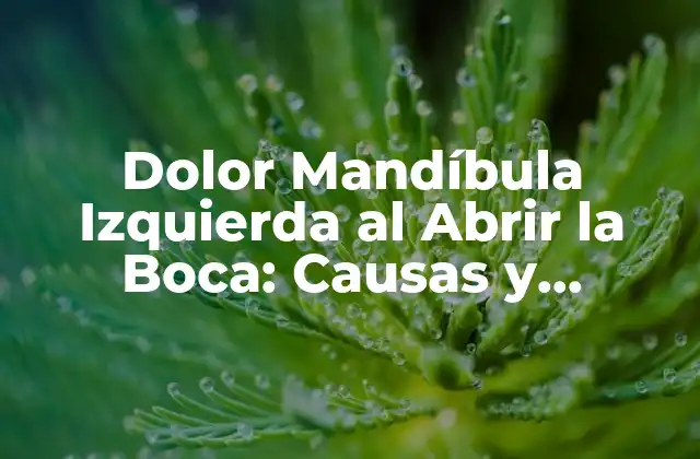 Dolor Mandíbula Izquierda Al Abrir la Boca: Causas y Soluciones