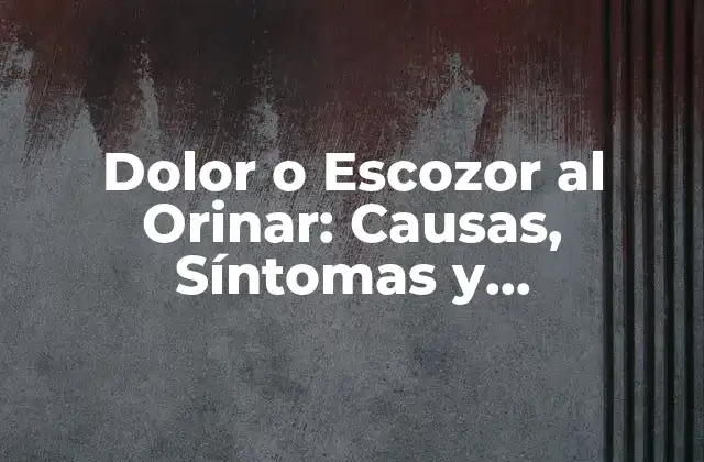 Dolor o Escozor Al Orinar: Causas, Síntomas y Tratamiento