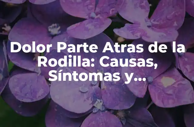 Dolor Parte Atras de la Rodilla: Causas, Síntomas y Tratamientos
