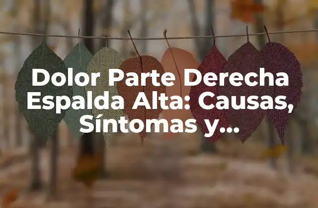 Dolor Parte Derecha Espalda Alta: Causas, Síntomas y Tratamiento
