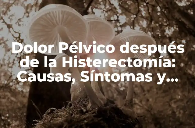 Dolor Pélvico Después de la Histerectomía: Causas, Síntomas y Tratamiento
