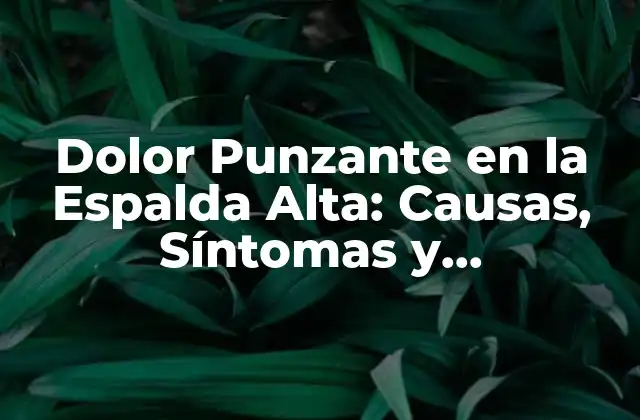 Dolor Punzante en la Espalda Alta: Causas, Síntomas y Tratamiento