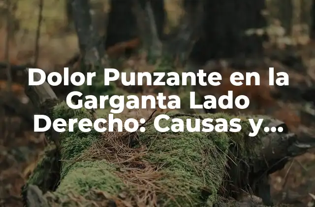 Dolor Punzante en la Garganta Lado Derecho: Causas y Tratamientos