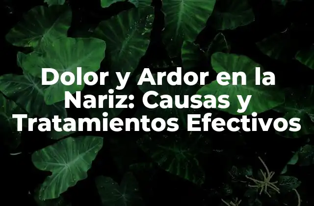 Dolor y Ardor en la Nariz: Causas y Tratamientos Efectivos