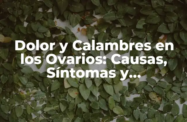 Dolor y Calambres en los Ovarios: Causas, Síntomas y Tratamiento