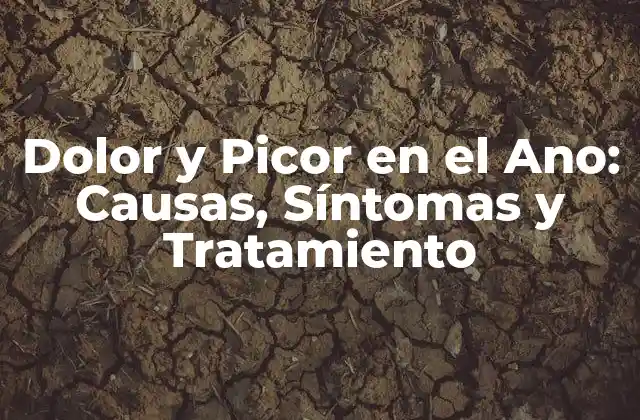 Dolor y Picor en el Ano: Causas, Síntomas y Tratamiento