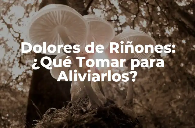 Dolores de Riñones: ¿qué Tomar para Aliviarlos?