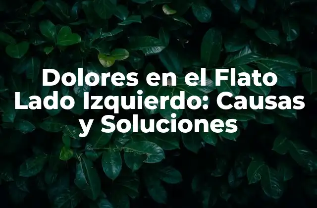 Dolores en el Flato Lado Izquierdo: Causas y Soluciones