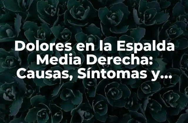 Dolores en la Espalda Media Derecha: Causas, Síntomas y Tratamientos