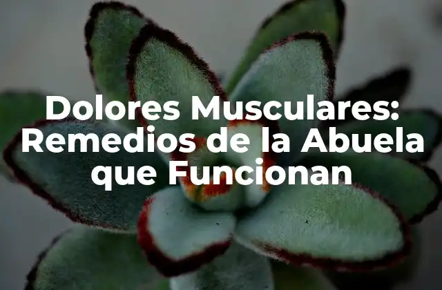 Dolores Musculares: Remedios de la Abuela que Funcionan
