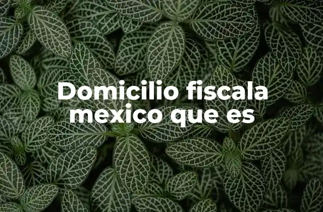 Domicilio Fiscala Mexico que es