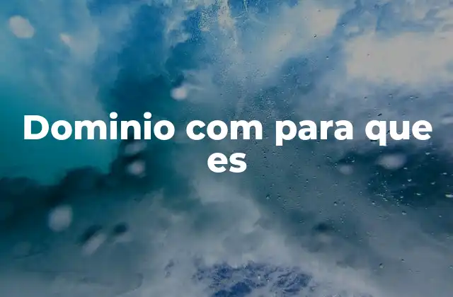 Dominio Com para que es