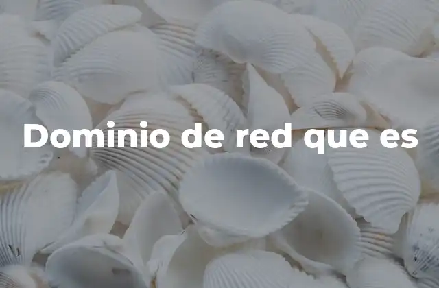 Dominio de Red que es