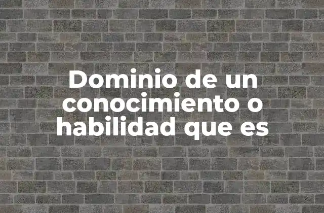 Dominio de un Conocimiento o Habilidad que es