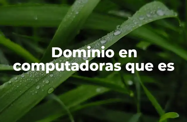 Dominio en Computadoras que es