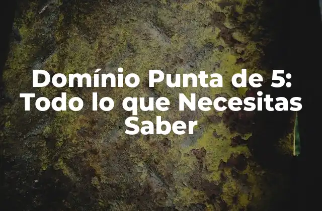 Domínio Punta de 5: Todo Lo que Necesitas Saber 2 ¿Qué es el Domínio Punta de 5?