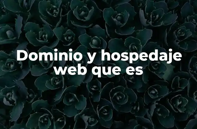 Dominio y Hospedaje Web que es