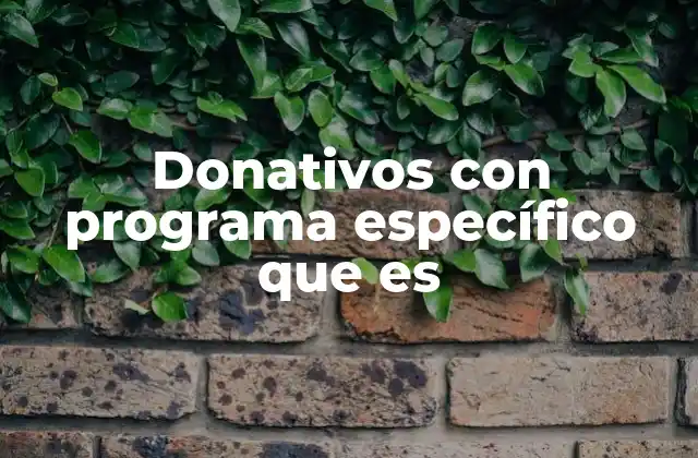 Donativos con Programa Específico que es 2 La importancia de los donativos dirigidos a proyectos concretos