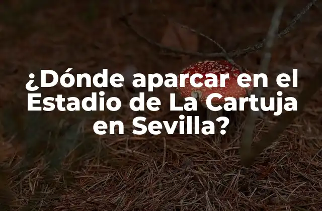 Opciones de aparcamiento en el estadio