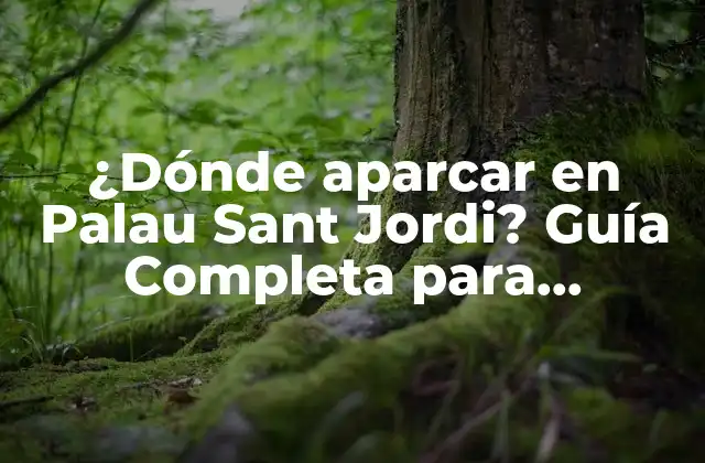 ¿dónde Aparcar en Palau Sant Jordi? Guía Completa para Encontrar el Mejor Lugar de Estacionamiento