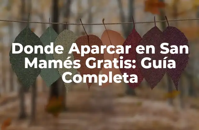 Donde Aparcar en San Mamés Gratis: Guía Completa