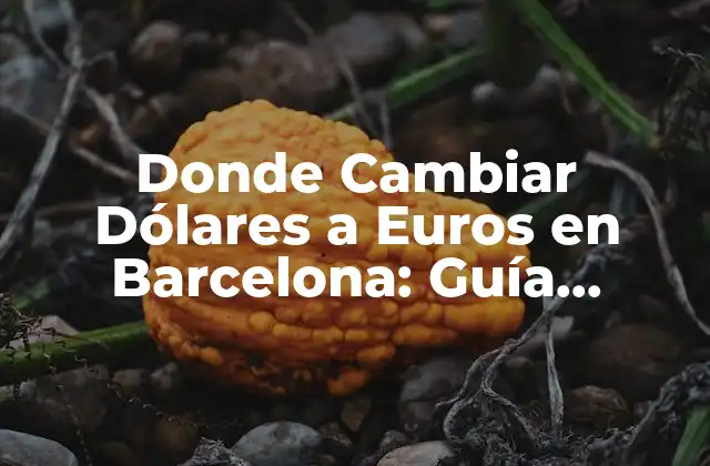 Donde Cambiar Dólares a Euros en Barcelona: Guía Completa