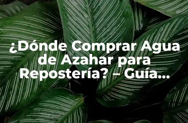 ¿dónde Comprar Agua de Azahar para Repostería? – Guía Completa para Encontrar la Mejor Opción