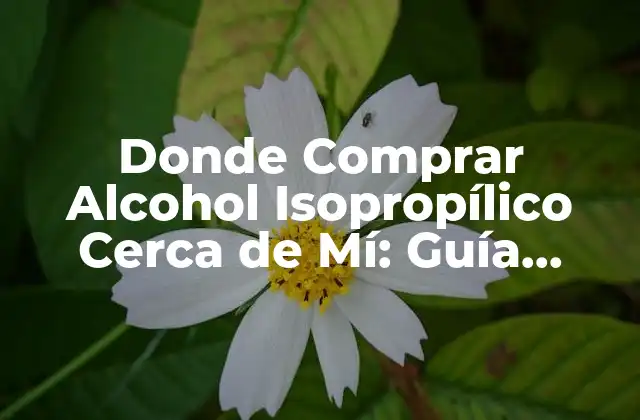 Donde Comprar Alcohol Isopropílico Cerca de Mí: Guía Completa