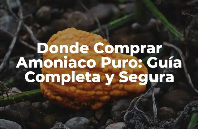 Donde Comprar Amoniaco Puro: Guía Completa y Segura