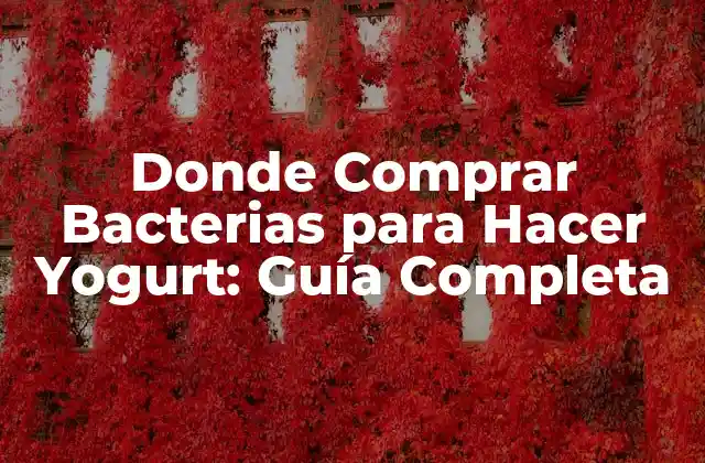 Donde Comprar Bacterias para Hacer Yogurt: Guía Completa 2 ¿Qué Son las Bacterias para Hacer Yogurt?